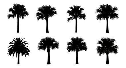 A diverse collection of eight black palm tree silhouettes. © MilioDerestd.co