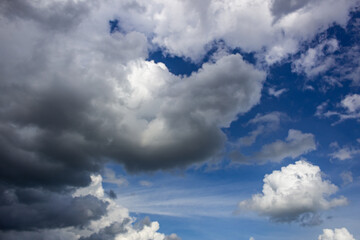 Obraz premium Cloudscape has been developing in gorgeous form. The sky is filled with beautiful clouds.