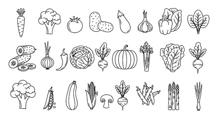 Vegetables line icon set. Vector pictograms of broccoli, potato, onion, garlic, lettuce, spinach, pepper, cucumber, pumpkin, turnip, celery, cabbage, mushroom, thin linear illustration