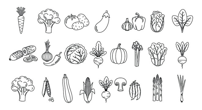 Vegetables line icon set. Vector pictograms of broccoli, potato, onion, garlic, lettuce, spinach, pepper, cucumber, pumpkin, turnip, celery, cabbage, mushroom, thin linear illustration