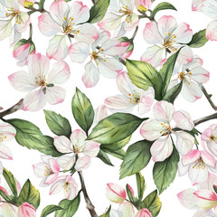 Seamless pattern. Twigs and flowers of an apple tree. Watercolor, white background. It is ideal for wallpaper, fabric, textile design, covers, wrapping paper, surface textures