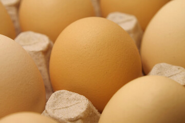 Fresh yellow chicken eggs in tray