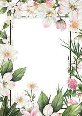 Watercolor floral frame with delicate white and pink apple blossoms, daisies, green leaves, clover. White background. Botanical border template for greeting cards, invitations, posters. Space for text