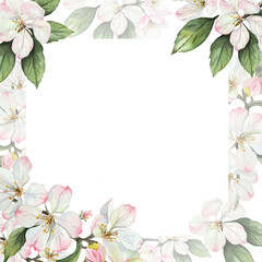 Watercolor floral frame with delicate white and pink apple blossoms and green leaves on white background. Elegant botanical border template for greeting cards, invitations, or posters. Space for text
