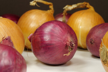 Bulb onion and red onion, which is also called purple onion