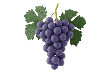 Fototapeta premium A bunch of plump, dark purple grapes hang from lush green leaves, showcasing nature�s bounty.