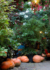 People sitting at a table in a garden with pumpkins.