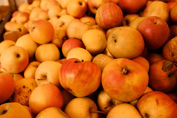 Pile of fresh apples with natural colors at local market. Organic fruit concept symbolizing health, harvest, and freshness