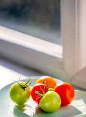 Home grown tomatoes,ripening in the Autumn sun,Worcester,United Kingdom.
