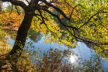 Autumn Landscape of Iskar River, Bulgaria