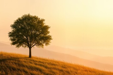 Obraz premium A Lone Tree Stands on a Grassy Hilltop during a Golden Sunrise with Mountains in the Background, Bathed in Warm Light and Casting Long Shadows
