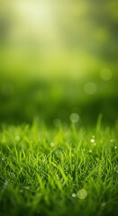 Naklejka premium Soft focus background image featuring lush green grass and subtle springtime elements, perfect for displaying products or overlaying text ,copy ,natural ,vegetation