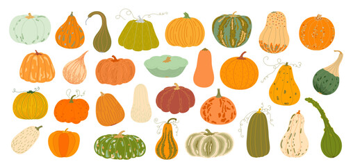 Pumpkins set hand drawn vector illustration in warm colors, vegetable for seasonal autumn, fall holidays celebration design, healthy vegetarian diet ingredient, Thanksgiving, Halloween clipart