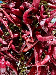 Hanging dried red chili peppers in budapest market