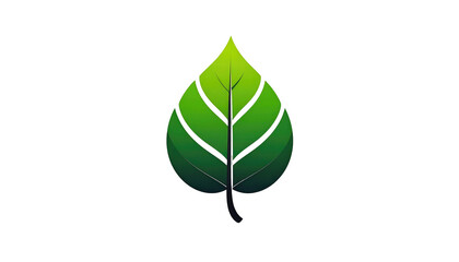 A vibrant green leaf, center, with darker veins and a graduated tone on a pure black background