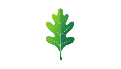 Isolated bright green oak leaf illustration with veining and subtle shading against a plain black background