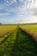 Wiltshire, England. Bridle path on chalk downland, Right to roam,