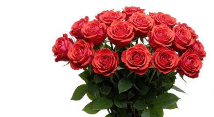 Obraz premium Beautifully arranged bouquet of blooming roses isolated against a pristine white backdrop, symbolizing love, romance, and special celebratory events ,luxury ,delicate ,minimal