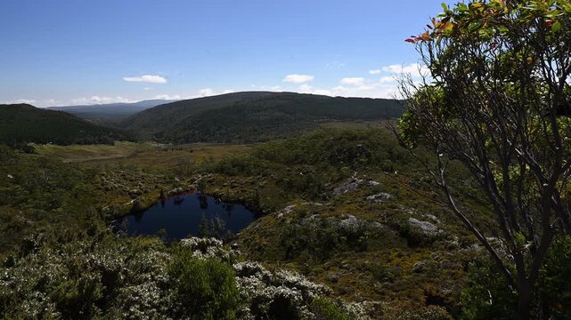 view over lake wombat pool with lush green vegetation of beautiful landscape cradle mountain in Tasmania, a popular travel destination for hiking and other outdoor activities in Australia.