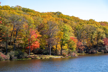 Autumn colors reflect in calm water at a scenic lakeside near a forest in October, capturing the beauty of changing leaves and nature's tranquility
