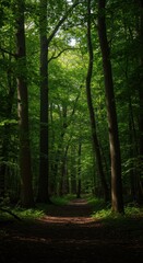Fototapeta premium Dense woodland background featuring ancient trees, lush green foliage, and deep shadows, perfect for nature themes and peaceful settings ,wild ,serene ,nature