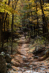 Natural path winding through autumn forest with colorful foliage and rocky terrain