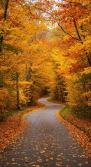 Obraz premium A winding paved path covered thickly with vibrant yellow, orange, and red autumn leaves, creating a colorful seasonal landscape ,outdoor ,footpath ,plant