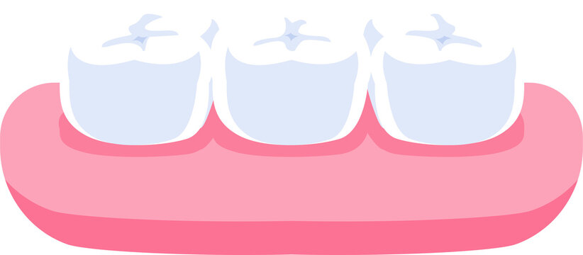 Normal teeth illustration transparent design. Dental care concept.