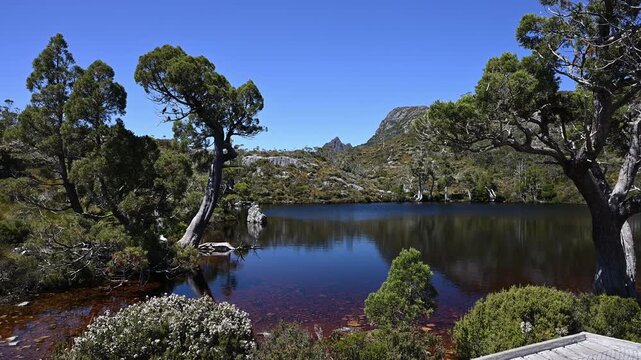 view over lake wombat pool with lush green vegetation of beautiful landscape cradle mountain in Tasmania, a popular travel destination for hiking and other outdoor activities in Australia.