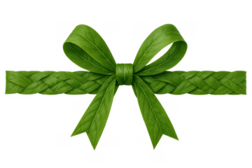 Green leaves forming an eco friendly bow and braided ribbon, symbolizing natural gift and sustainable present