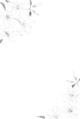 白ユリのフレーム　モノクロイラスト　喪中はがき