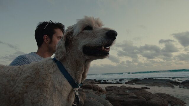 Man enjoys sunset at the beach with his dog while relaxing by the waves and embracing nature's beauty