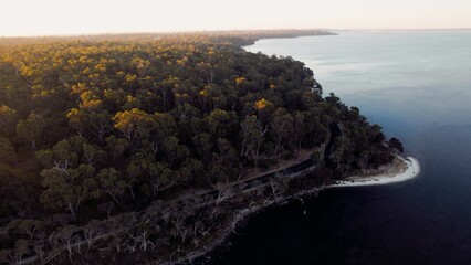 Beautiful coastal view of lush forests near a serene lake during golden hour in a peaceful natural setting