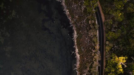 Scenic aerial view of a winding road beside a tranquil lake surrounded by trees during late afternoon