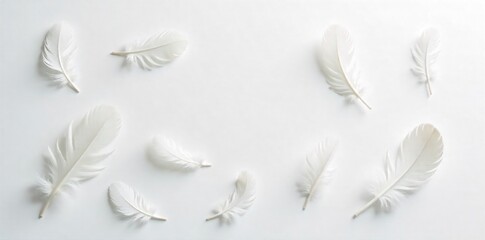 Delicate white feathers softly scattered and layered on a pristine white surface, evoking lightness and peace. A minimalist composition featuring soft, white feathers artistically scattered and