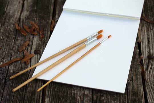 Paint brushes on a blank paper canvas on a wooden table with autumn leaves - Powered by Adobe