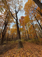 October colours in Quebec, Canada