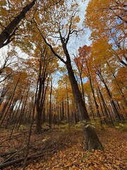 October colours in Quebec, Canada