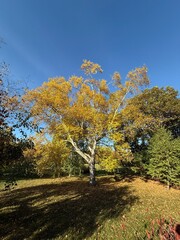 October colours in Quebec, Canada