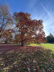October colours in Quebec, Canada
