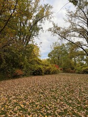 October colours in Quebec, Canada