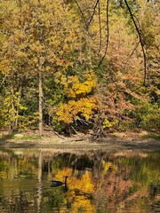 October colours in Quebec, Canada