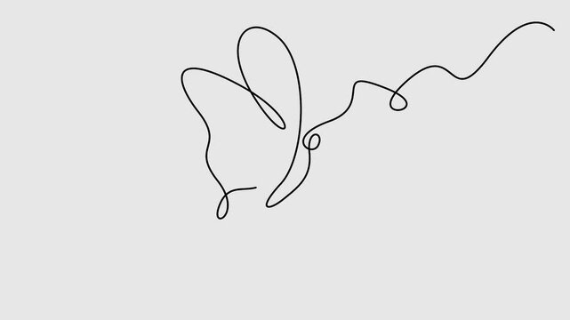 Butterfly drawn with one continuous line animation. Single line drawing of beautiful butterfly for business, social media. Concept of spring, nature. 4K animation