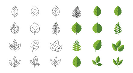 Collection of diverse leaf icons, featuring both detailed line art and vibrant fill styles, representing various tree and plant foliage, perfect for natural, eco, bio, and vegan branding and design