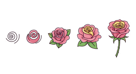 Vector cartoon illustration of a rose's life cycle, from a simple spiral to a fully bloomed pink and yellow flower with green leaves and stem, presented in a sequential, ordered set against a clean