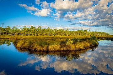Scenery from Princess Place Preserve in Flagler County, Florida
