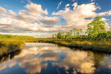Scenery from Princess Place Preserve in Flagler County, Florida