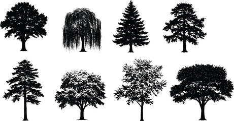 Tree silhouettes, forest shapes, botanical icons, nature illustration, landscape elements, black trees, foliage patterns, seasonal design, environment, vector art