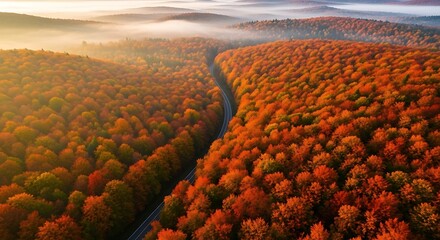 Aerial view of a road winding through an autumn forest with vibrant orange and red foliage at daytime