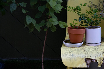 There are two flower pots on an old chair.낡은의자위에 화분 두개가 놓여있습니다.